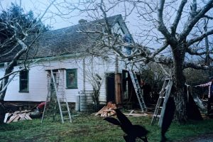 Roe House Renovations