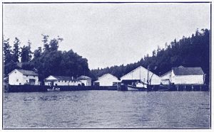 Herring Saltery, Otter Bay