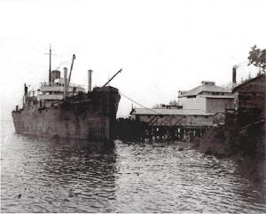 Fish Reduction Plant