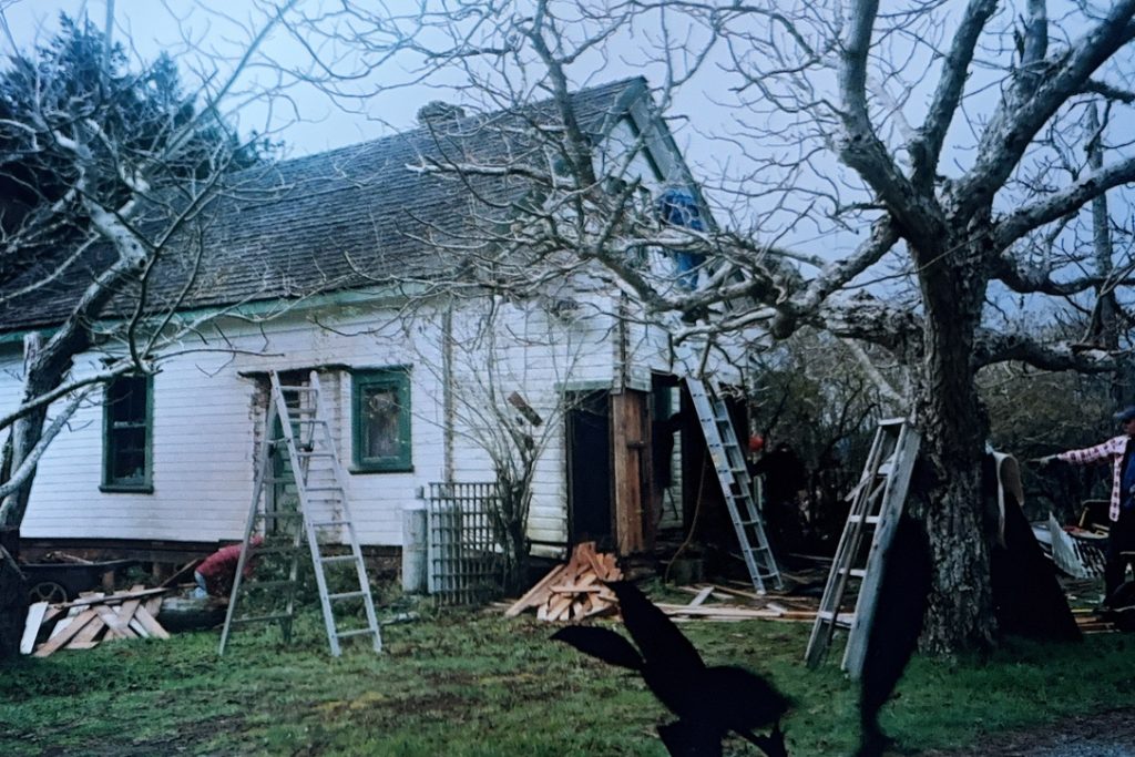 Roe House Renovations
