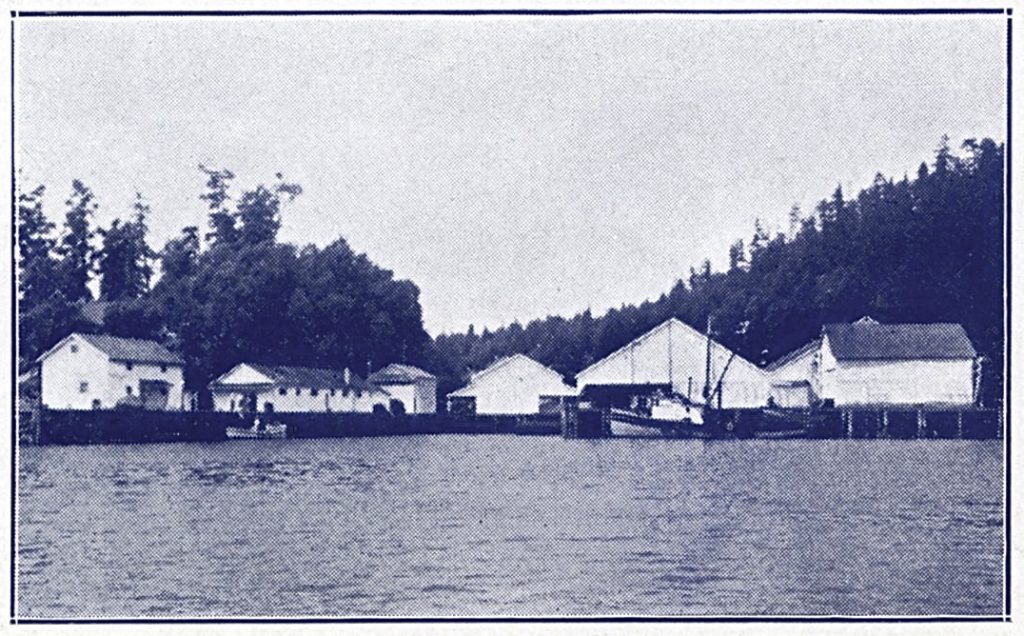 Herring Saltery, Otter Bay
